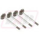 Supapa de admisie R79623x4