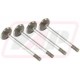 Supapa de admisie R89219x4