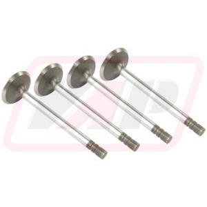 Supapa de admisie R89219x4