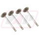 Supapa de admisie + 0,015" R89221x4