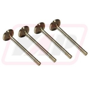 Supapa de evacuare R79624x4