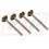 Supapa de evacuare R79624x4