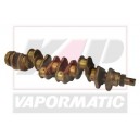 Arbore cotit 6 cilindri AT22562