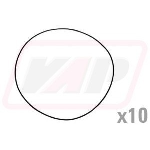 Simering 100552A1x10