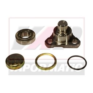 Kit pin pivot MPZ7702