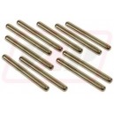 Pini 119686A1x10