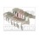 Set cuzineti 1901832