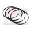 Set inele piston 1901481