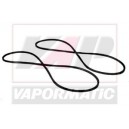 Curea ventilator (2) 3383044M91