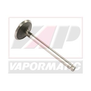 Supapa de admisie 3637042M1x4