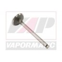 Supapa de admisie 736812M1x4