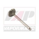 Supapa de admisie 736813M1x4