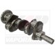 Ansamblu arbore cotit 4222037M91