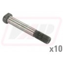Bolt biela 375756X1x10