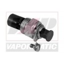 Bujie incandescenta 893501M91