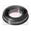 Rulment 1675274M1