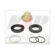 Kit reparatie cilindri 1810881M91
