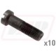 Surub 825776M1x10
