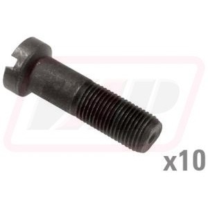 Surub 825776M1x10