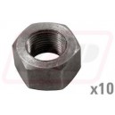 Piulita 891947M1x10