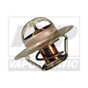Termostat 6005022968